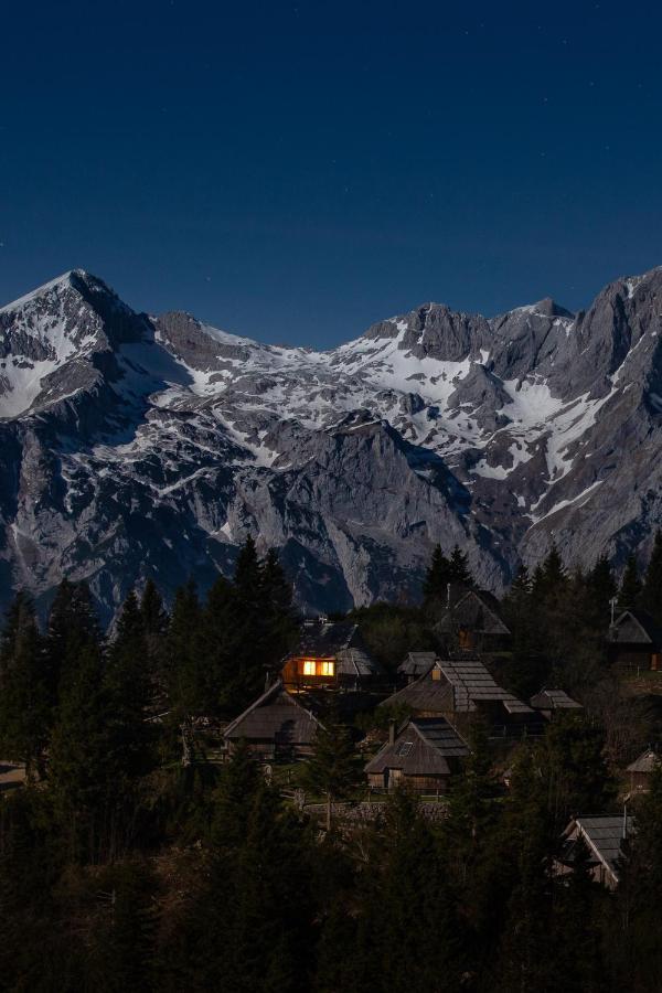 Chalet Neza Velika Planina Stahovica Eksteriør billede